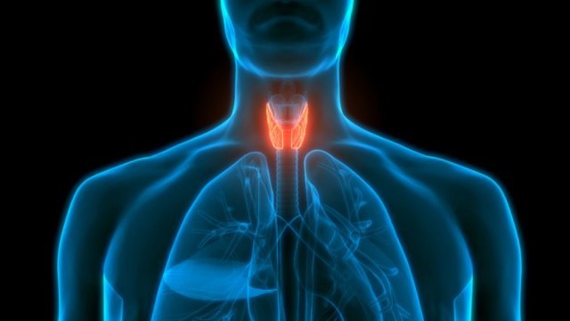 Lekar otkriva: Koji su simptomi poremećaja rada štitne žlezde i ko je ugroženiji? VIDEO